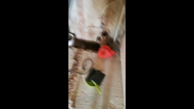 Ремонт 2-х комнатной квартиры под ключ в кирпичном доме, 50 кв м.