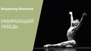 Dying Swan - Vladimir Malakhov / «Умирающий лебедь» - Владимир Малахов