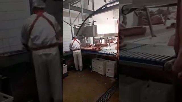 Распил свинины!!!