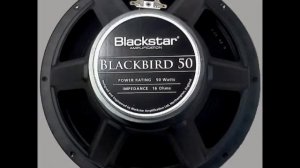 Speaker Shootout : Blackstar Blackbird 50 vs Celestion G12T75
