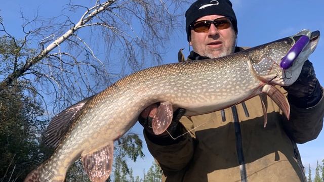 Как я и чем ловил хищных рыб в 2019 смотреть онлайн