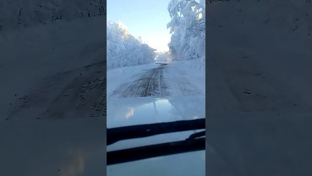 Наша северная сказка смотреть онлайн