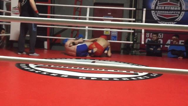 Баширов Тамерлан турнир по панкратиону смотреть онлайн