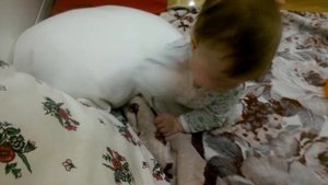 Ребенок готовится ползать на четвереньках. Пытаемся встать на четвереньки