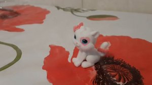 Маджики любимые котята. Обзор.