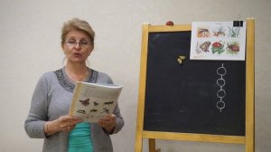 Логопедическое занятие по теме: "Насекомые. Пересказ рассказа "Трудолюбивые пчёлы" | Самоизоляция
