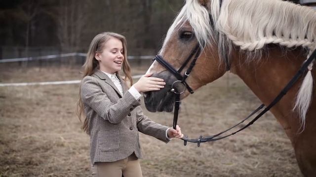 Лошади и пони для фотосъемок смотреть онлайн