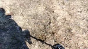 Тест VANQUISH 440 на золото