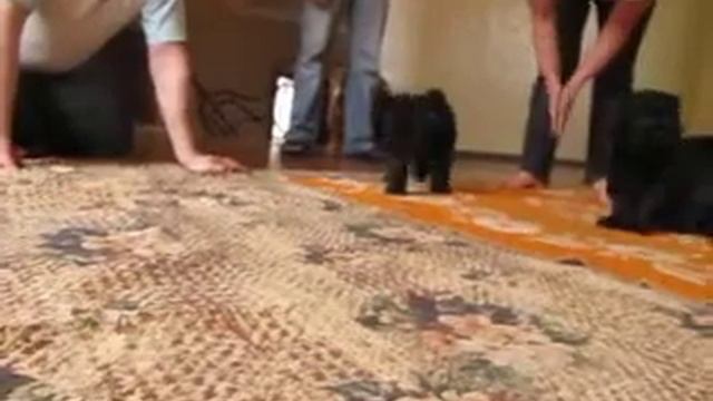 фото 8 05 2012 029 смотреть онлайн