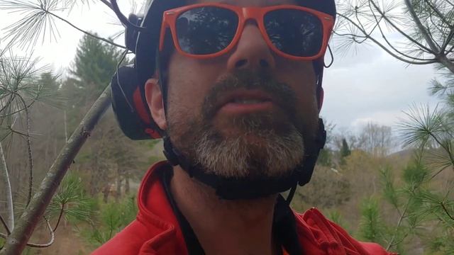 Cloud pruning experiment, pinus strobus смотреть онлайн