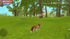 Типы игроков Wildcraft 👀🍄