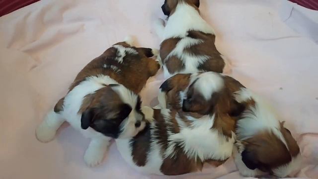 9 сентября 2021 г.