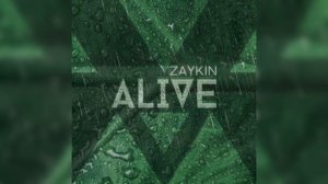 Zaykin - Alive