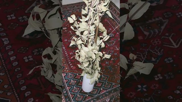 ОЧИЩАЕТ ВОЗДУХ В ? смотреть онлайн