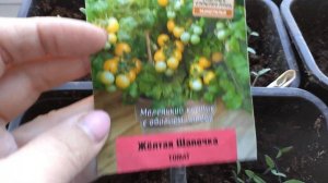 Срочно посадите это в ОКТЯБРЕ. Что посеять в октябре