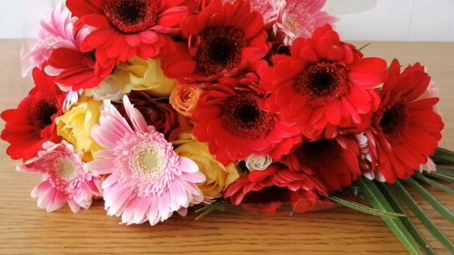 Навор аз Германия German омода кардани?? оши тупа ???? смотреть онлайн