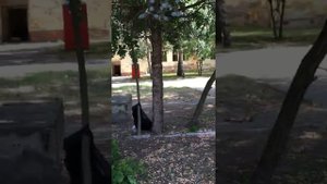 Кечкемет, Арт. полк в\ч п\п 28865 часть 2