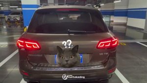 Тюнинг фонари VW Touareg nf