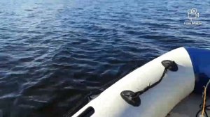 Обкатка тохатсу 9.8