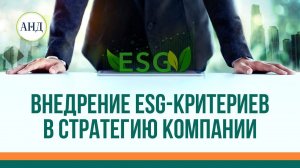 Внедрение ESG-критериев в стратегию компании