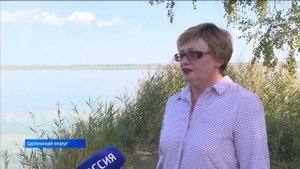 Целинное