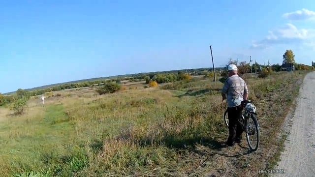 Обнаружили заброшенный сад с тёрном, яблоками и грушами смотреть онлайн