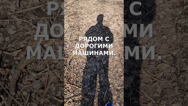 #ВИДЕОПОЭЗИЯ