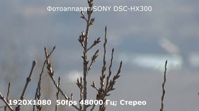 Фотоаппарат SONY DSC HX300