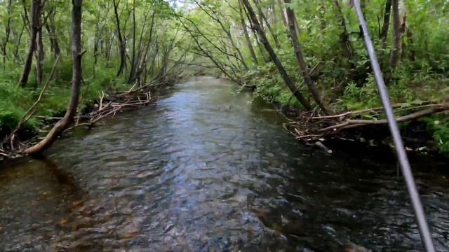 Тест супер мушки. Только успевал ловить хариуса. Рыбалка рядом с деревней 3 смотреть онлайн