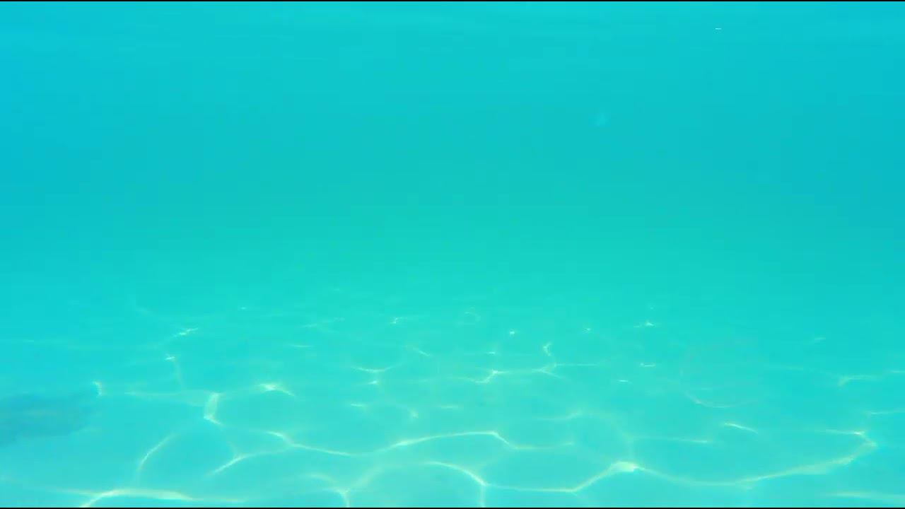 Евпатория 16.07.24 - 2 смотреть онлайн