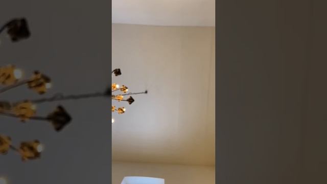 Чтение св. Евангелия и проповедь. Аваевский храм, 15 марта 2020 года. смотреть онлайн