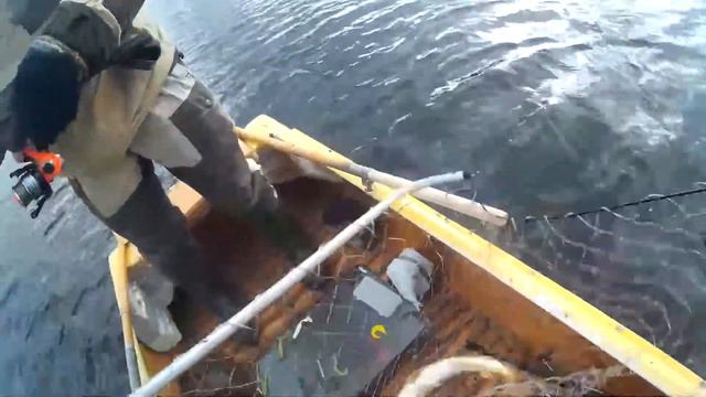 ОТЛИЧНЫЙ КЛЕВ ЩУКИ! Джиг Риг в деле! смотреть онлайн