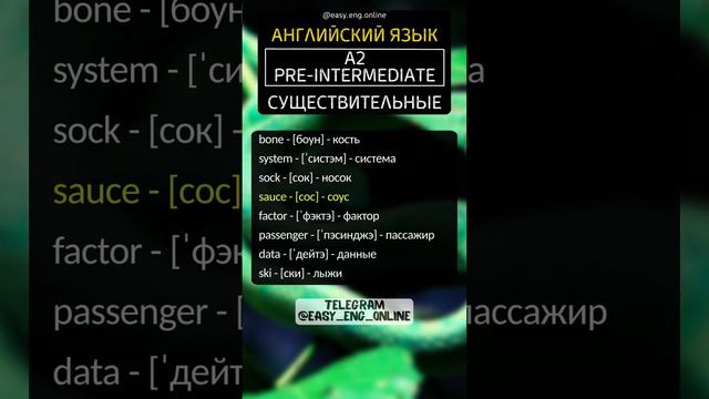 💥🇬🇧 СУЩЕСТВИТЕЛЬНЫЕ - A2 | Pre-Intermediate (19) 🛑 Английские слова для начинающих с русским