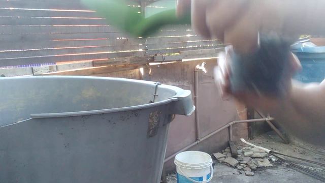 Plantando a echeveria raindrops,comprada pela Internet 😍! confiram. смотреть онлайн