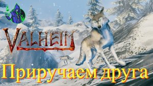 valheim #30 - Приручение волка