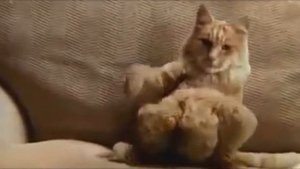 ШЛЁПАЛА КОКОВА С УШЛЁПКАМИ | RYTP Clipoop