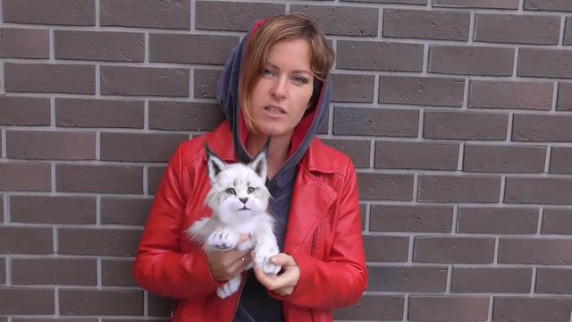 Белый рысенок Jeremy смотреть онлайн