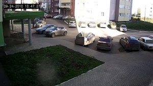 Падение кота с 17-го этажа в Уфе