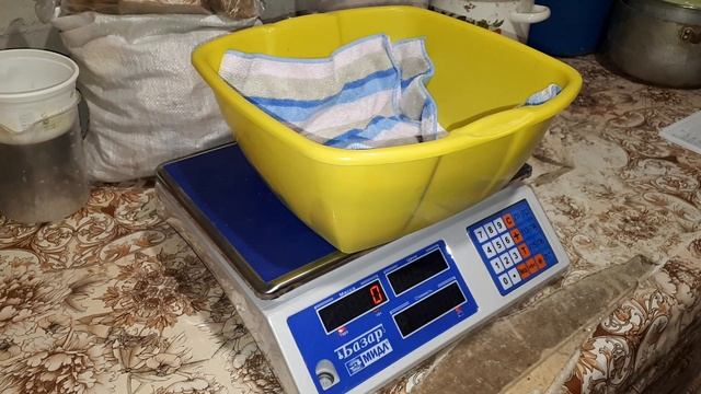 Вес козлят в 10 дней. Кормим, взвешиваем. смотреть онлайн