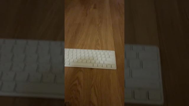 Почему клавиатура издаёт такой звук ? смотреть онлайн