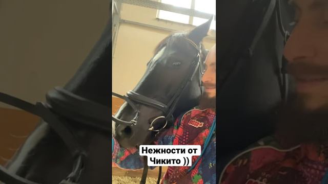 Нежный конь )