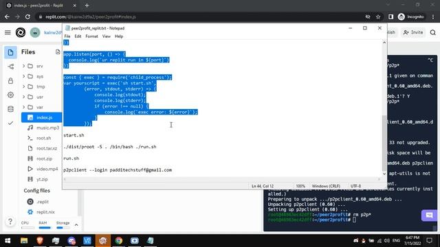 [PATCHED] How to Run Peer2profit in Replit (100% work)