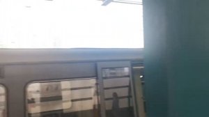 Бутовская линия метро. Битцевский парк - Бунинская аллея