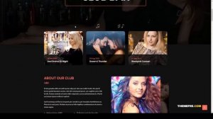 Domex - Night Club WordPress Theme night club sound Hayashi