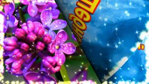 С Днем Рождения, Ксюша! Новинка! Прекрасное видео поздравление! СУПЕР ПОЗДРАВЛЕНИЕ!