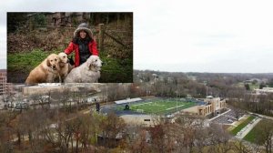 Мост собак-самоубийц: ради чего они прыгают вниз ? Suicide Dog Bridge: Why Do They Jump Down#мистик