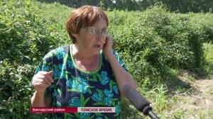 В Бакчаре прошёл Праздник жимолости