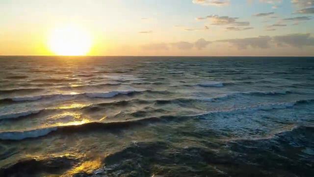 Flute healing music | Meditation | #Flute #Meditation #krishnaflute #indiantraditionalflute #music смотреть онлайн