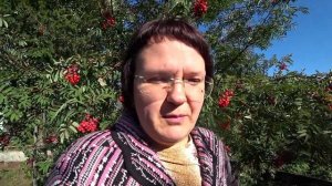 Осенью или весной сажать плодовые деревья?