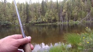 РАЗВЕДКА НА ТАЁЖНОМ ОЗЕРЕ | ЩУКА НА СПИНИННГ